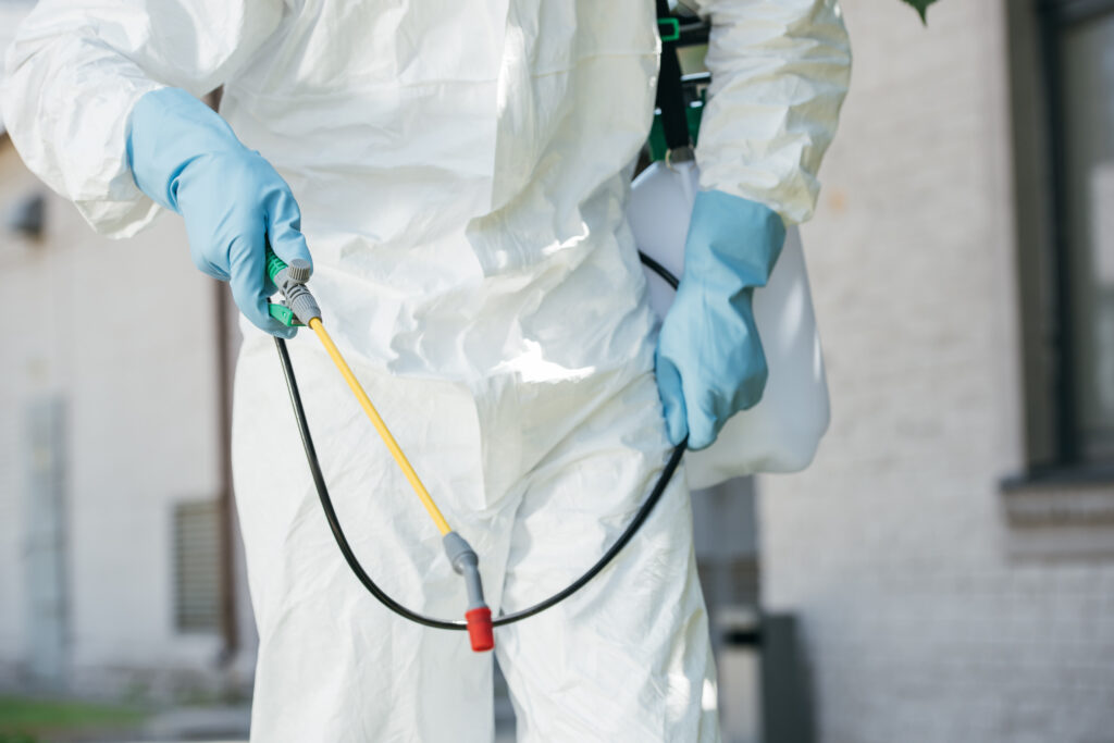 Pest Control Services in Cardiff